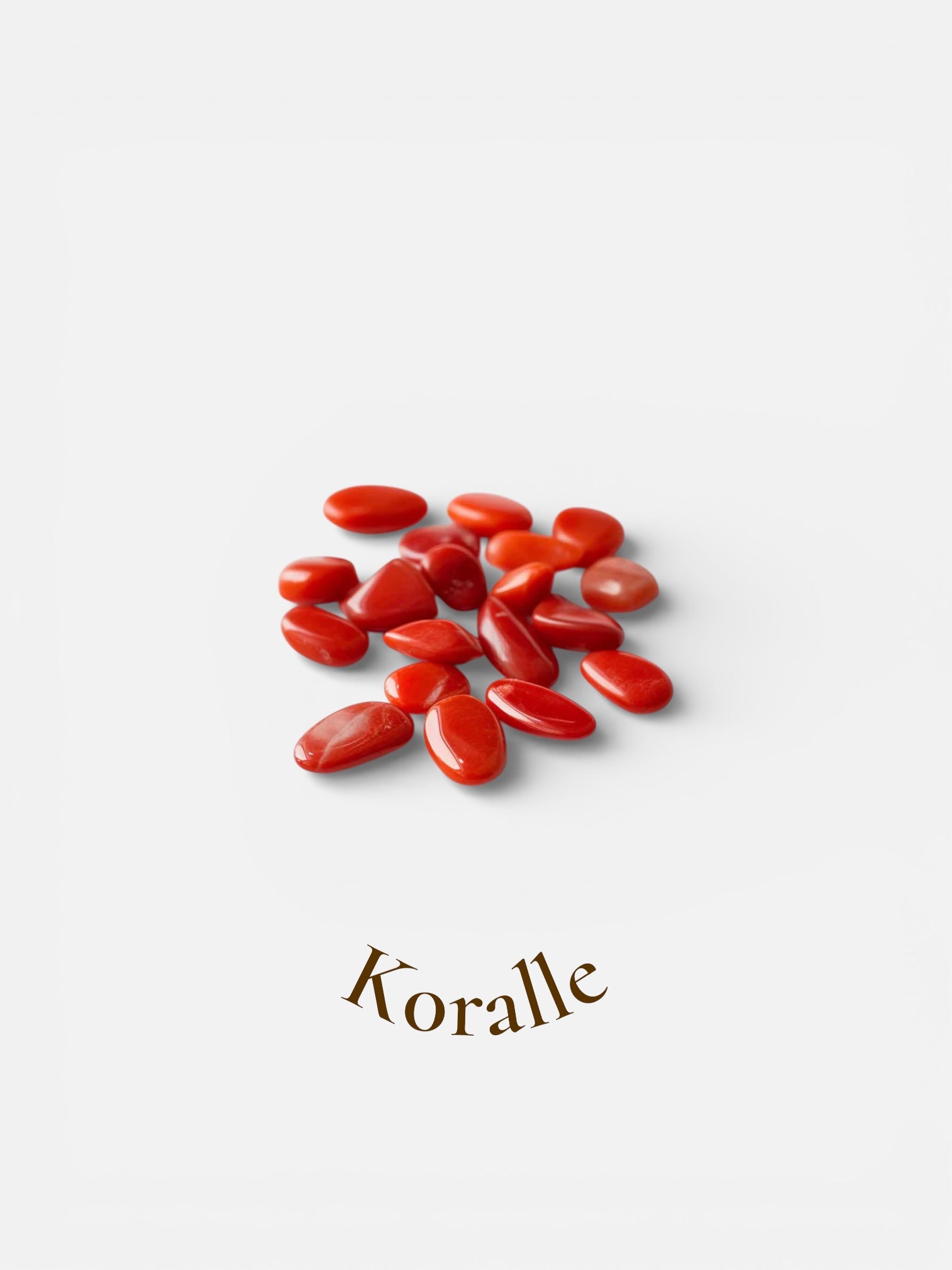 Koralle