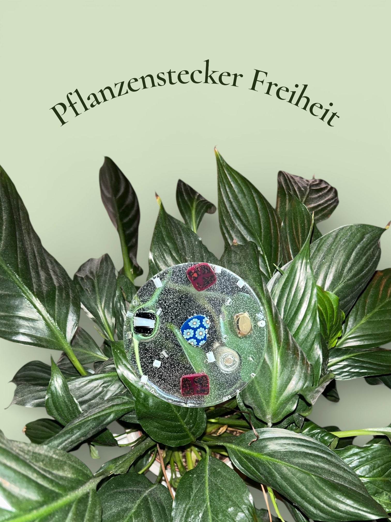 Pflanzenstecker Freiheit