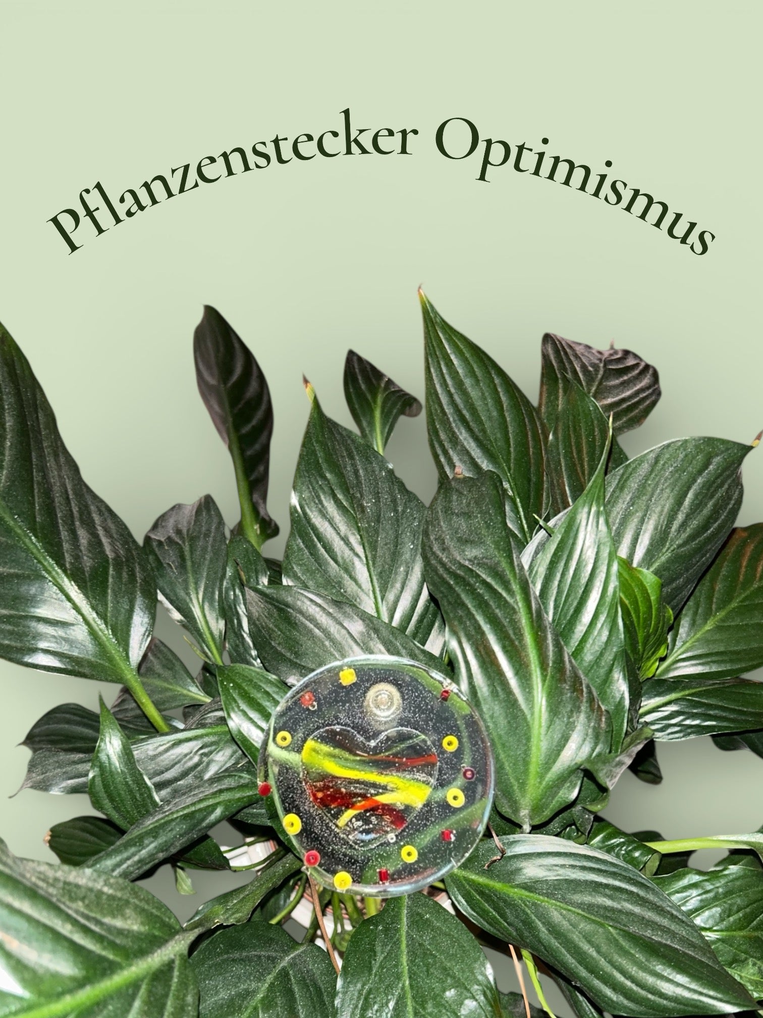 Pflanzenstecker Optimismus
