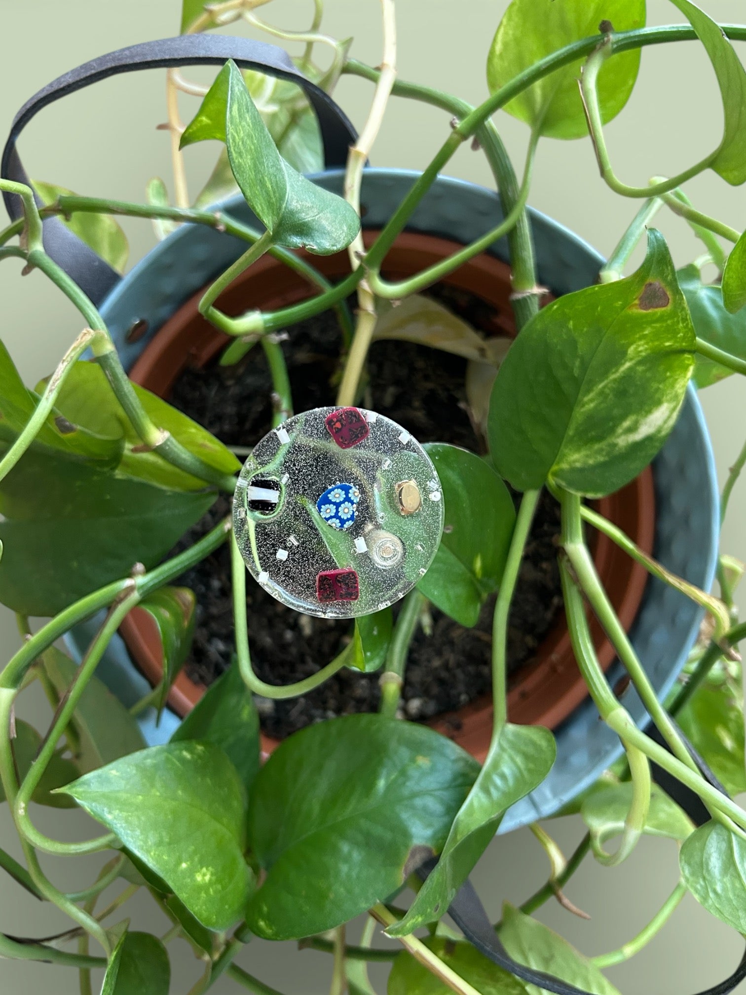 Energetisierender Pflanzenstecker Freiheit