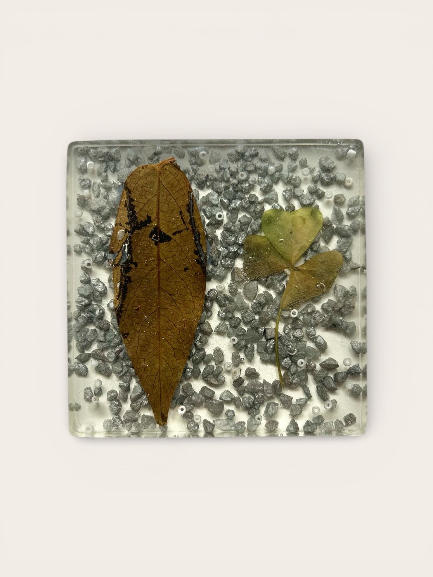 Wasserinformierer Weg des Wassers - Gefäßuntersetzer für Glas und Tasse